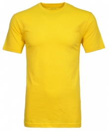 RAGMAN T-Shirt Rundhals R40181-500-gelb
