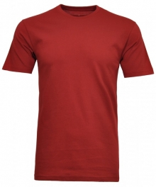 RAGMAN T-Shirt Rundhals R40181-061-rostrot
