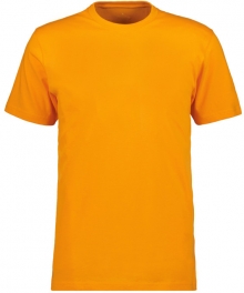 RAGMAN T-Shirt Rundhals R40181-541-orange